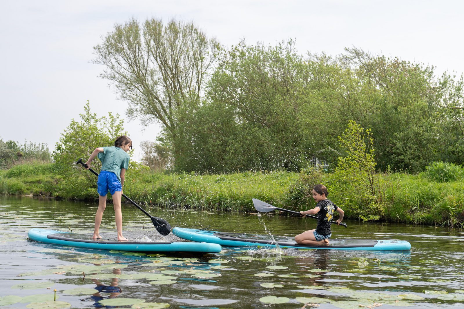 Pfingsten Nordholland