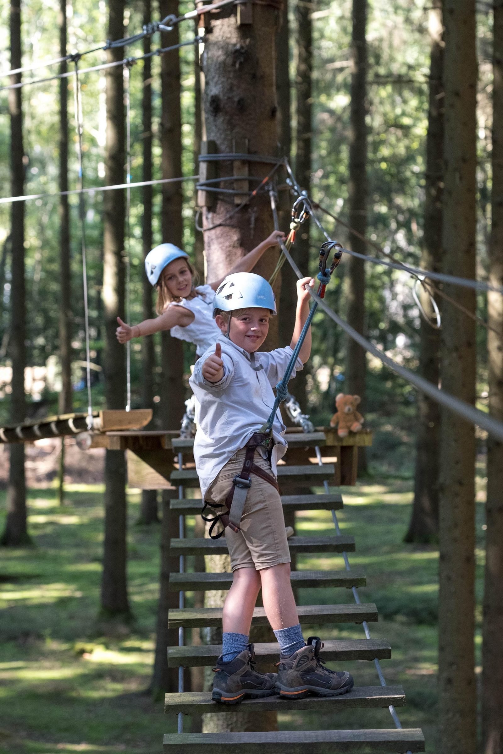 Tree Climbing