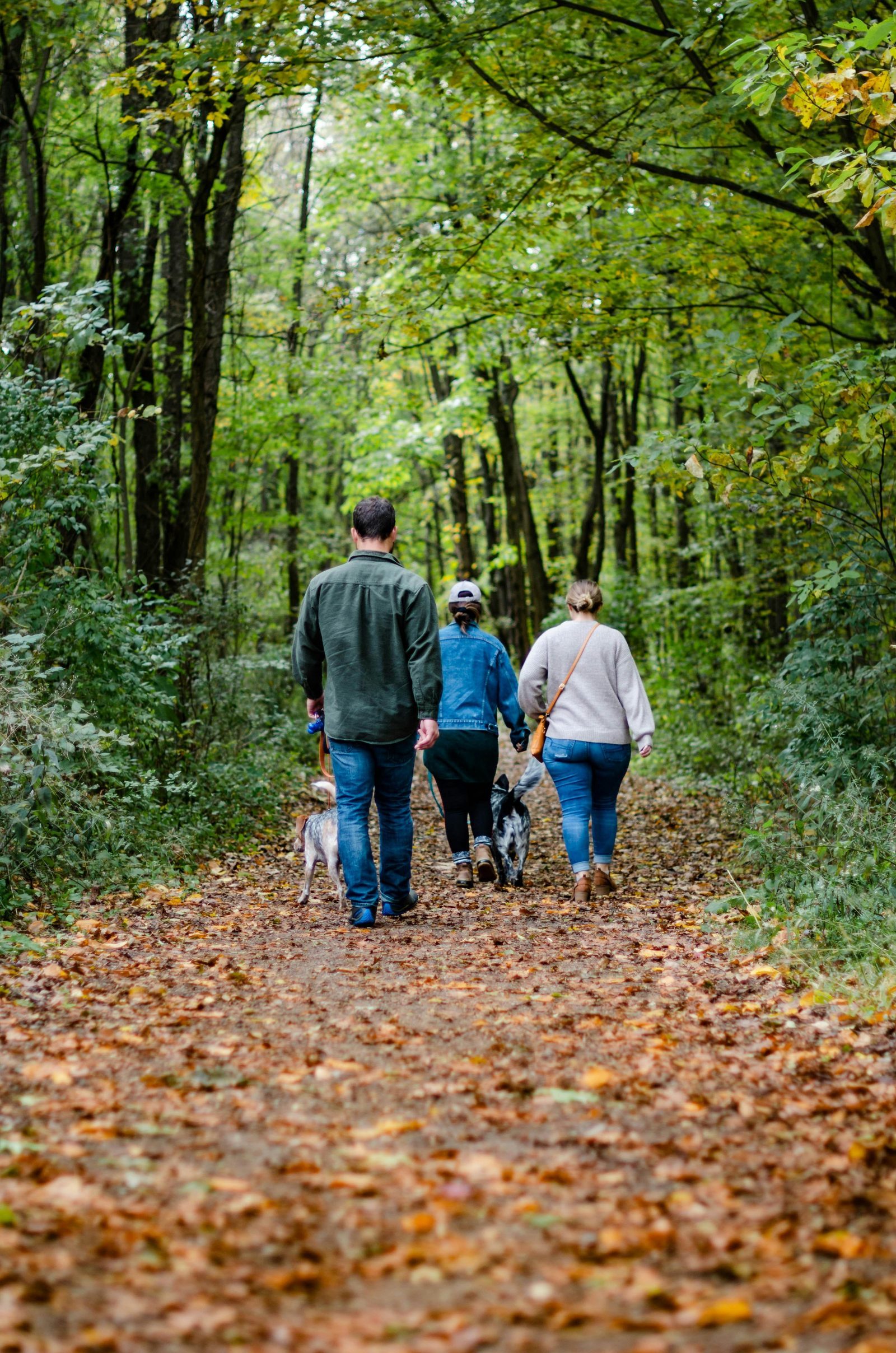 Wander- und Fahrradrouten in Winterswijk