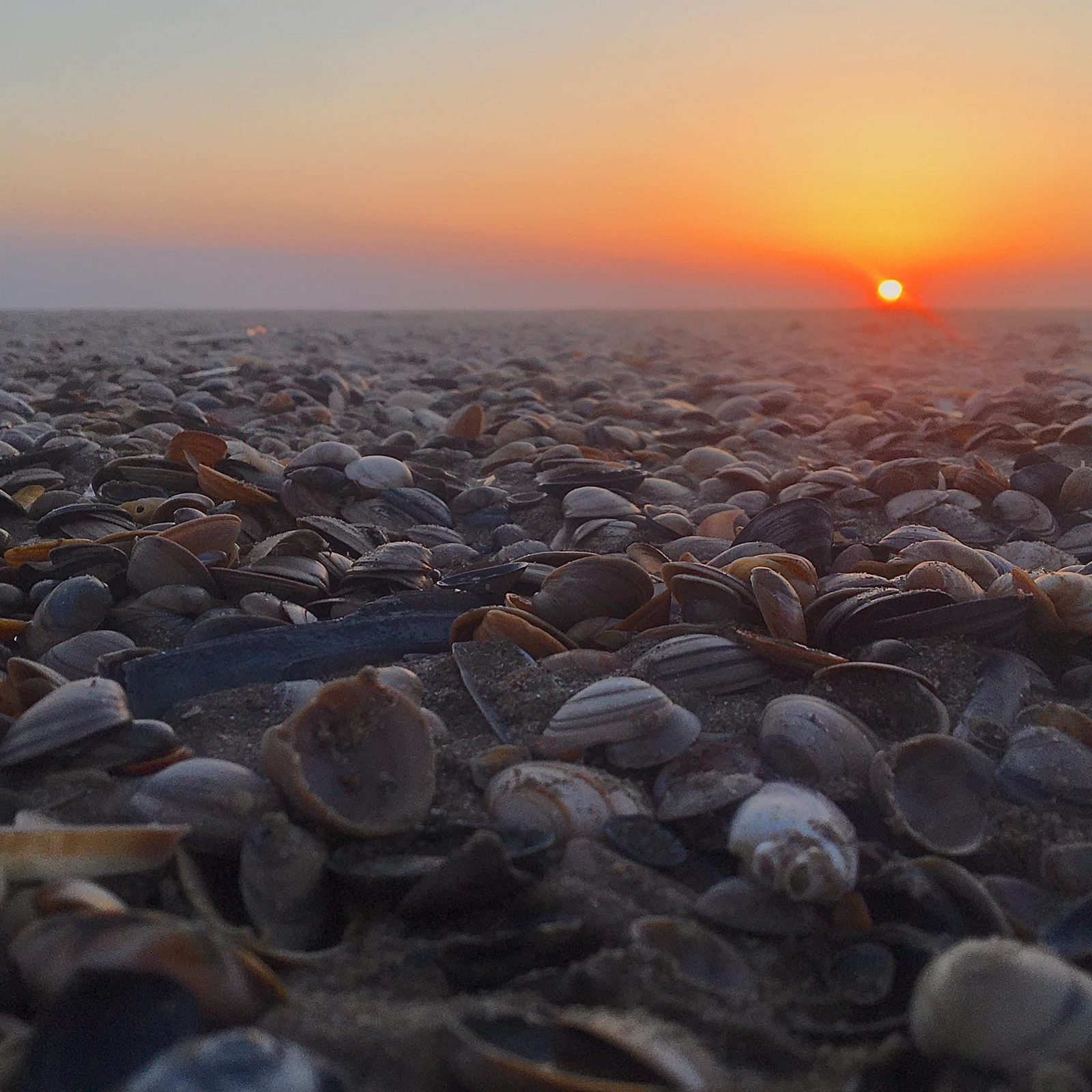 Noordwijk strand