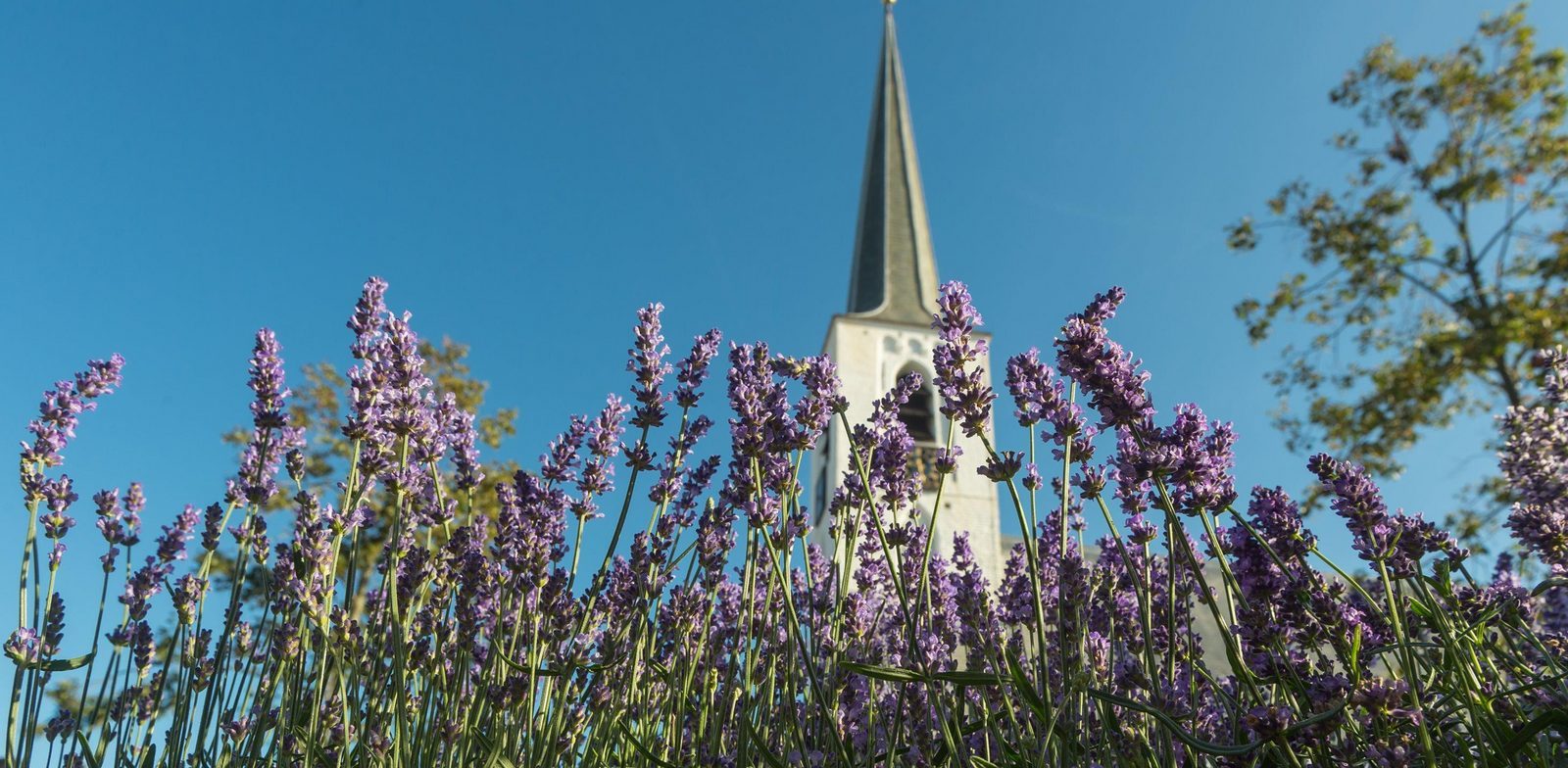 Witte kerk Noordwijkerhout