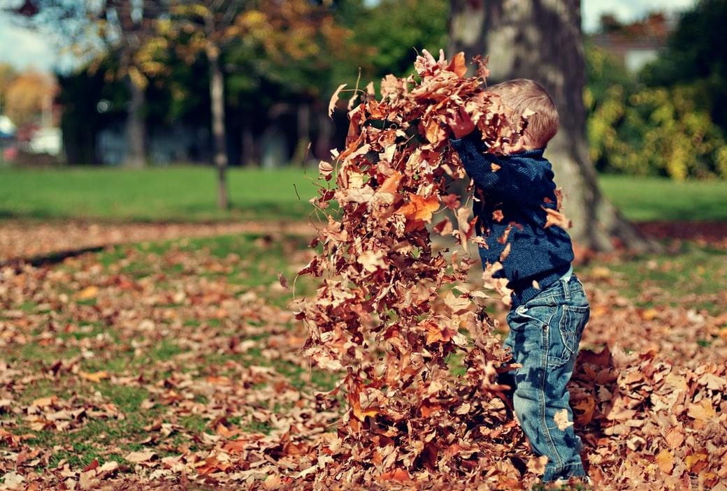 Herfstvakantie 