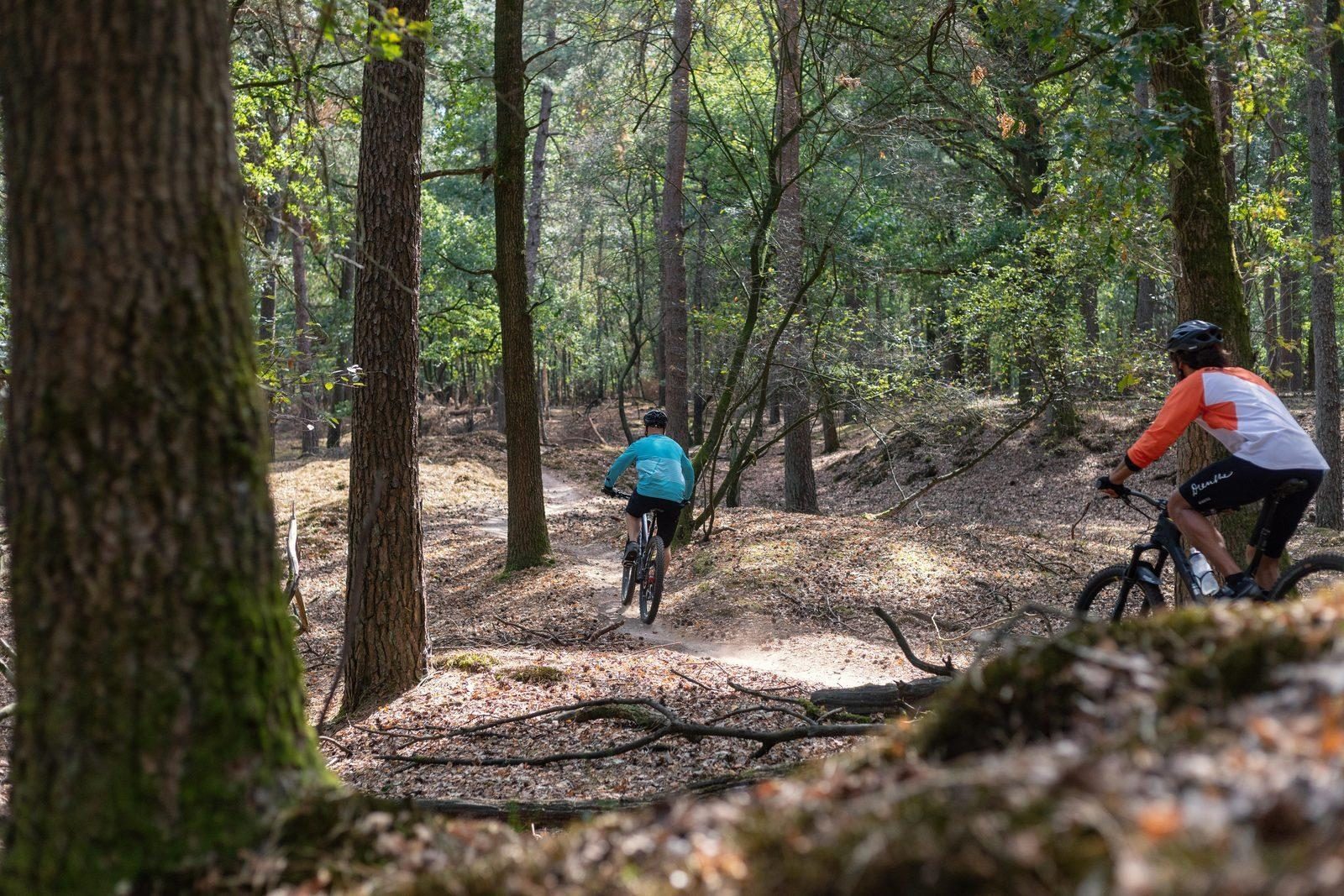 Mountain bike