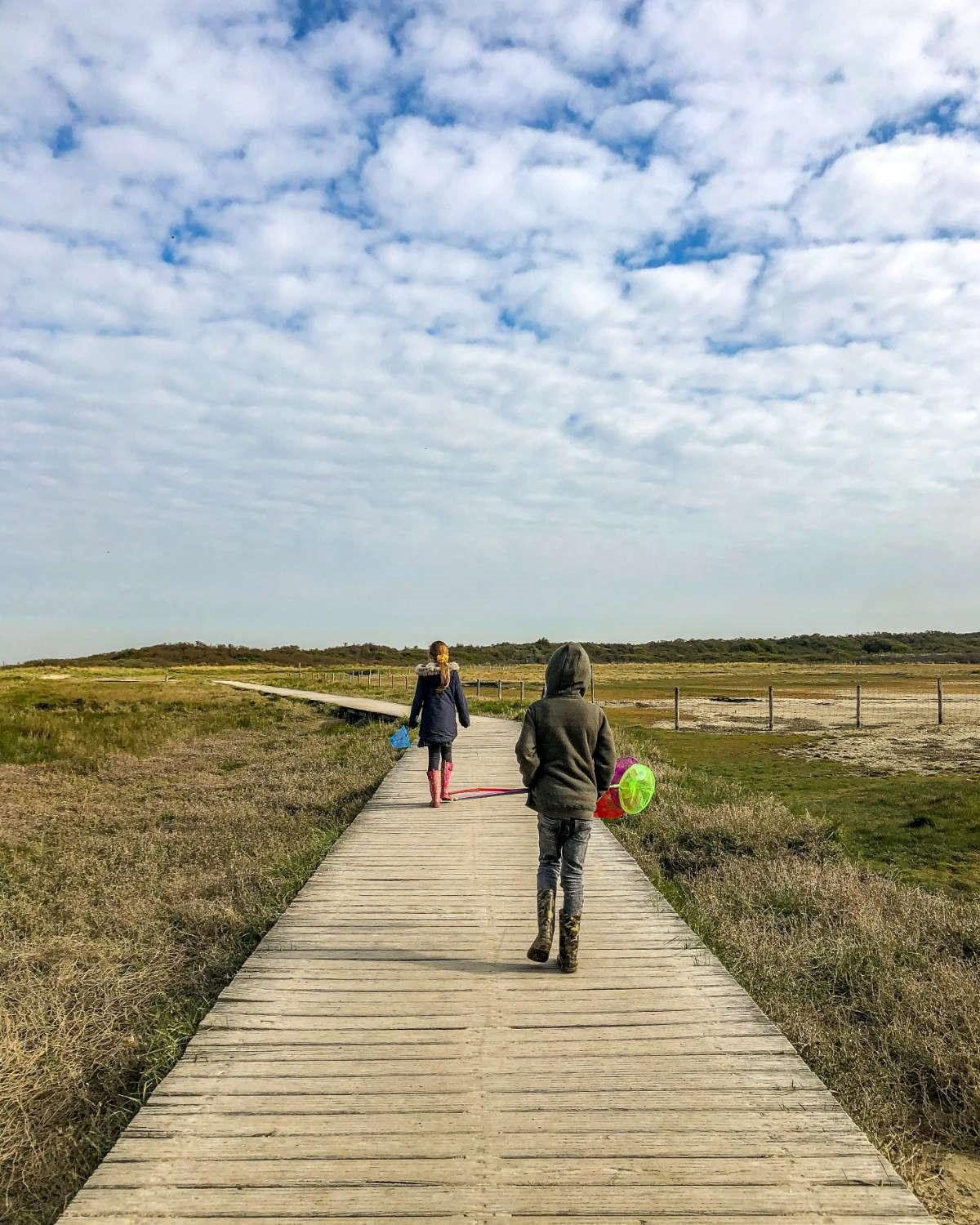 Actieve wandelroutes in de omgeving 