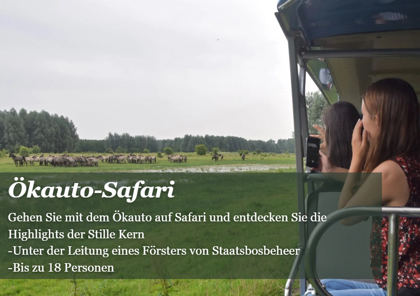 Wein Safari