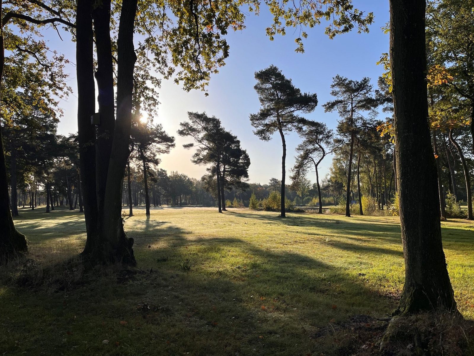   Exclusieve voorinschrijving De Bergvennen