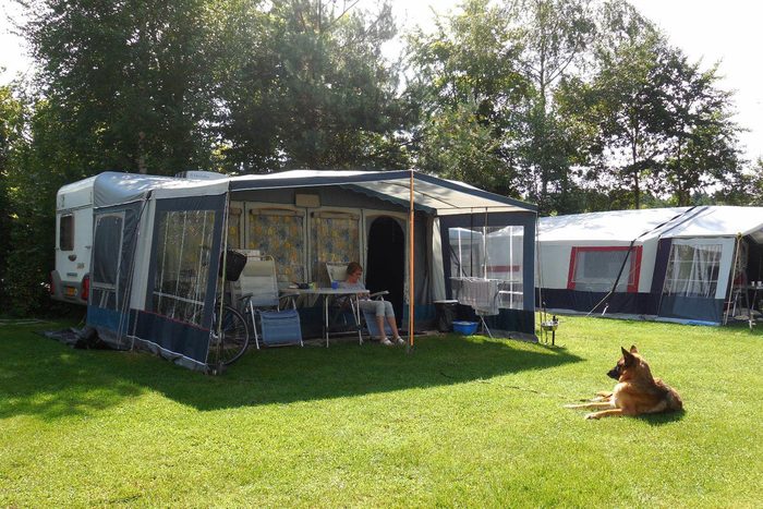 Camping In Der Veluwe Mit Ihrem Hund Ferienpark Ackersate