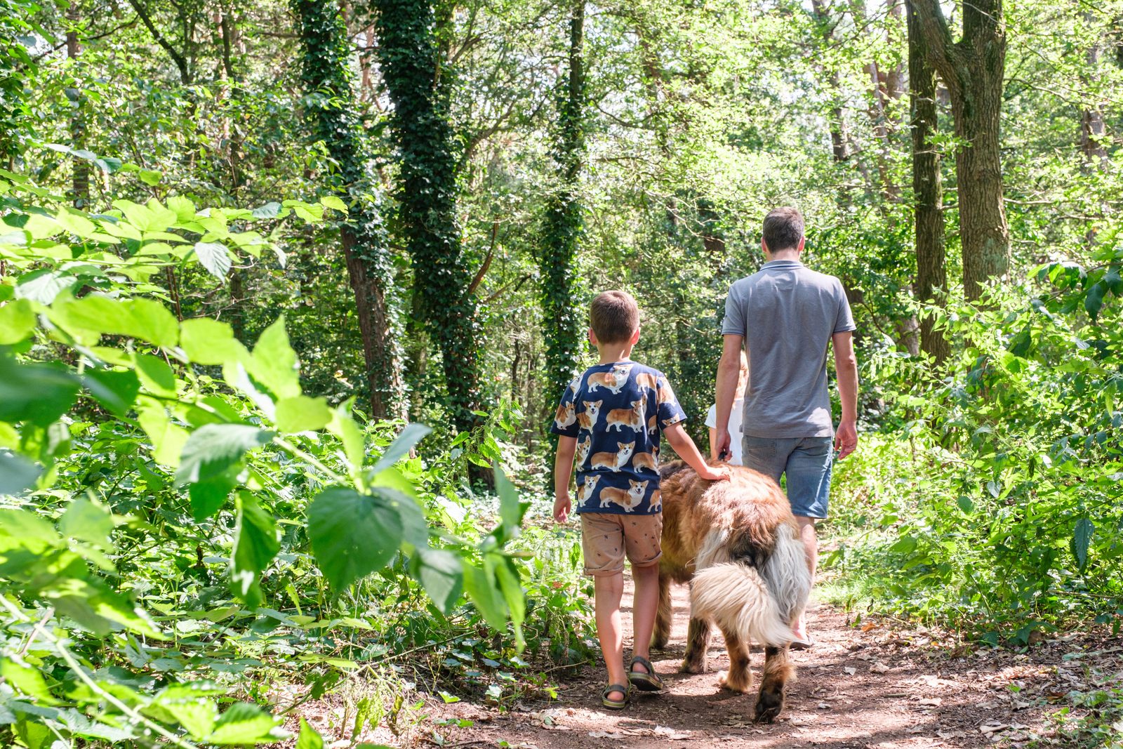 Beoordeling Kindercamping Nederland 