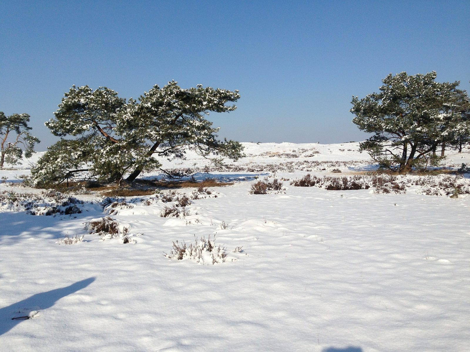 Wintercamping in den Niederlanden