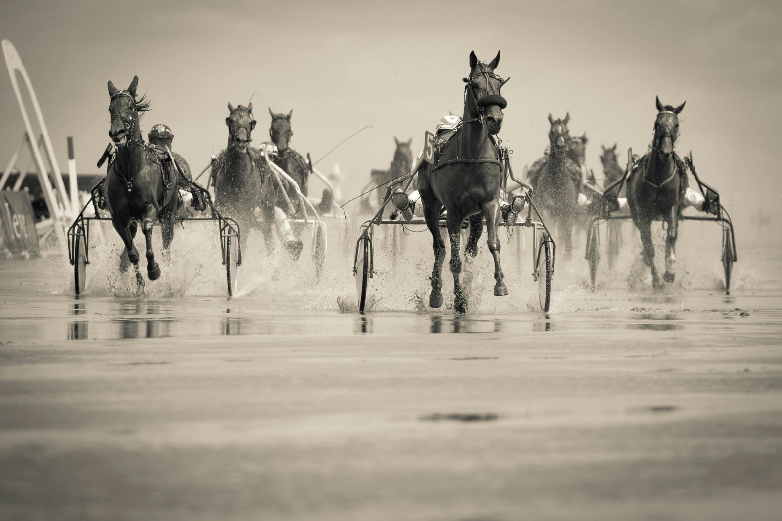 Bénédiction des chevaux