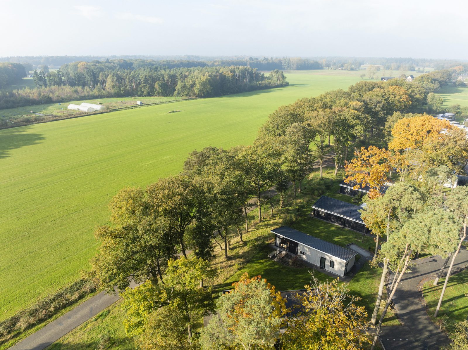 Boslogde op de Vlinderhoeve