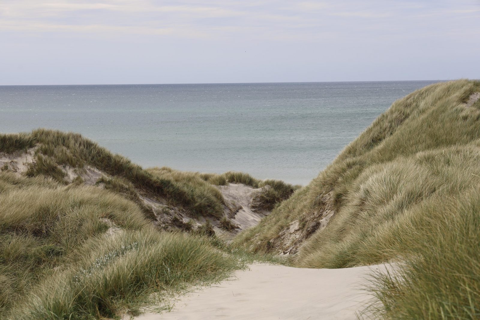 Strand Huisduinen