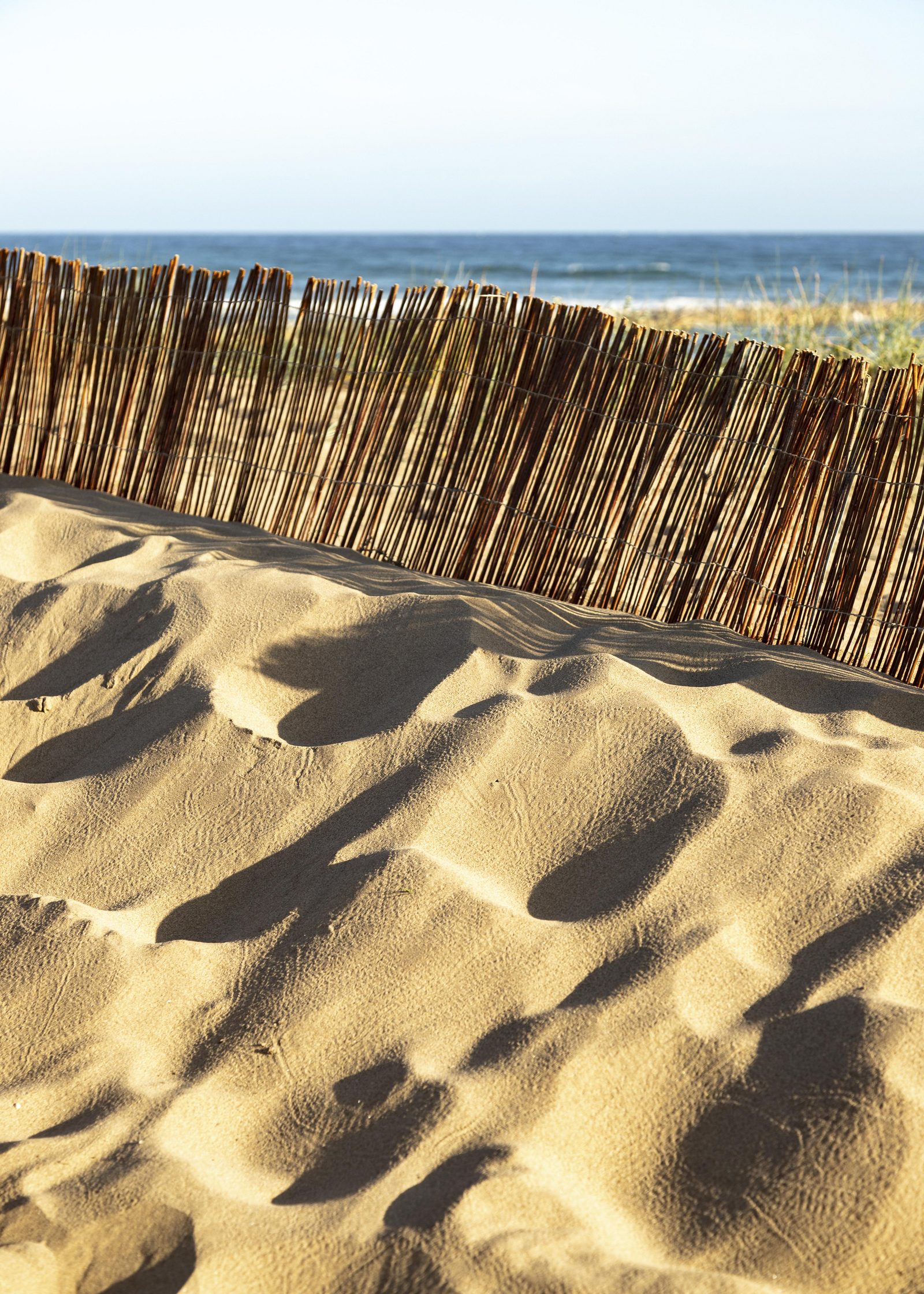 Strand Petten