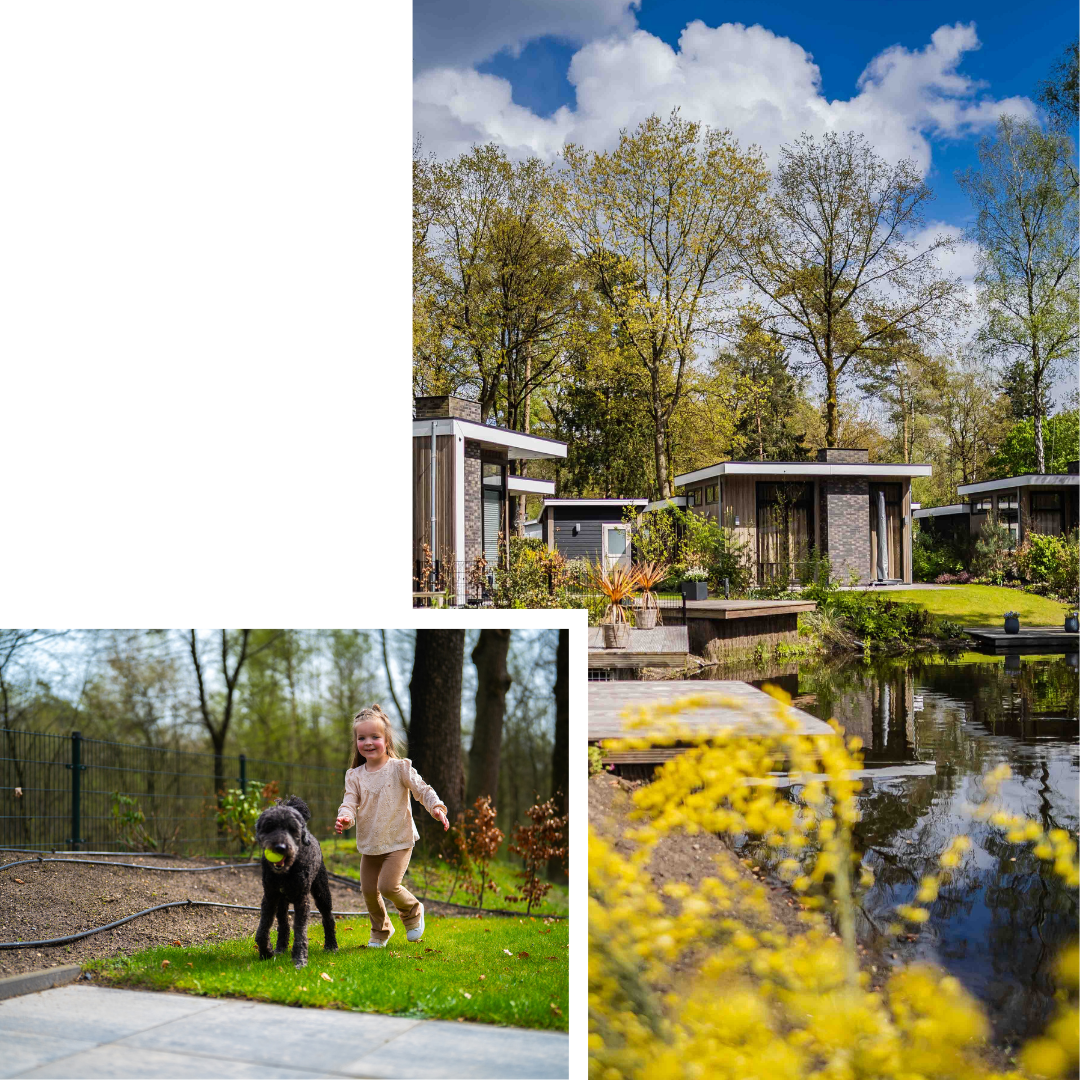 Huisdiervriendelijke vakantiewoning kopen