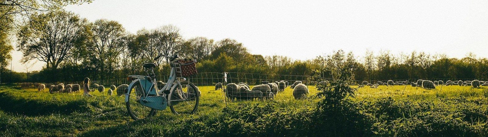 De natuur in