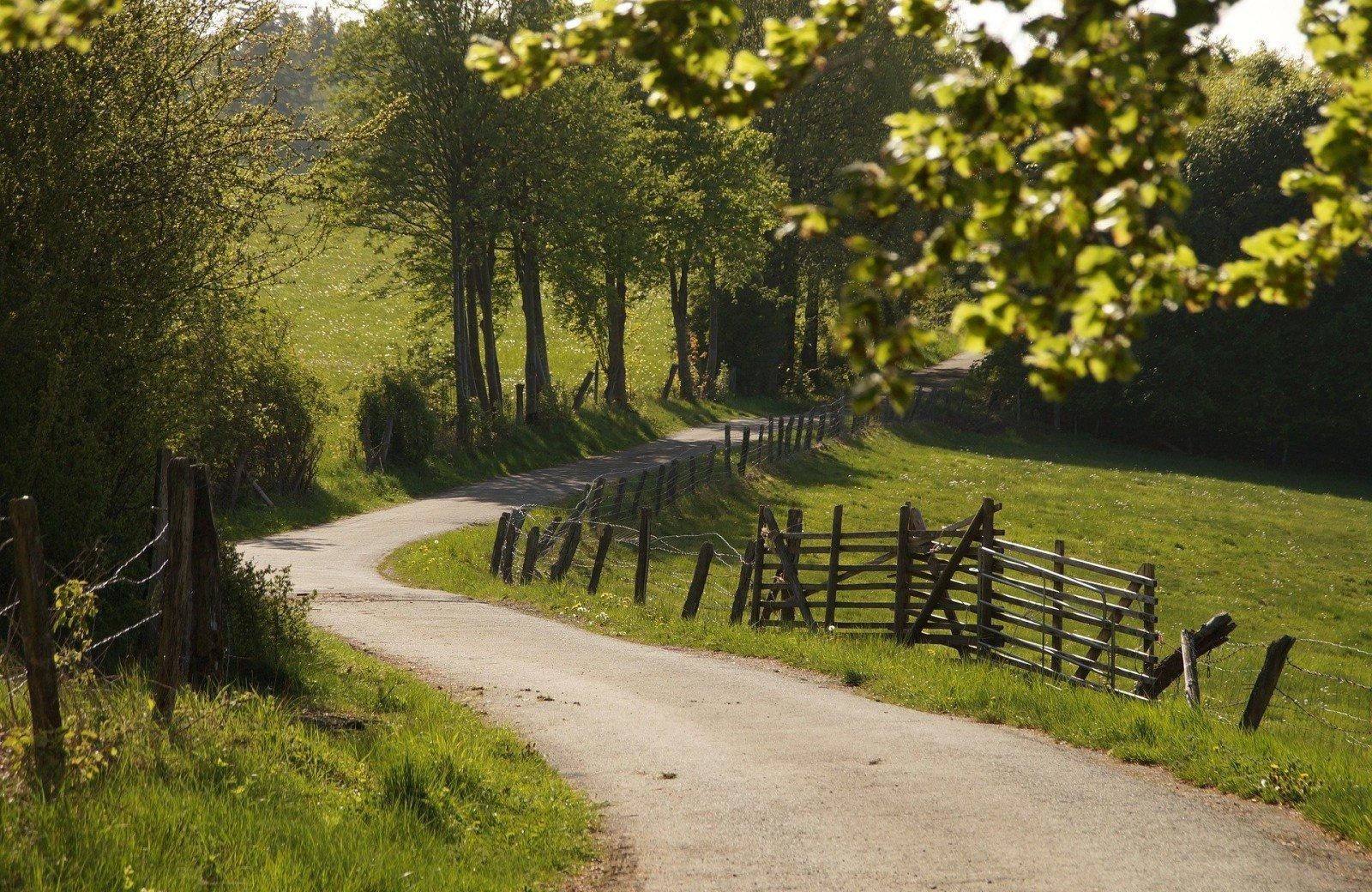 Geologisch Natuurpad Needse Berg 4 km