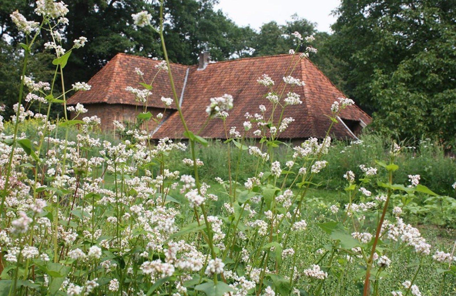 Boerderijmuseum De Lebbenbrugge