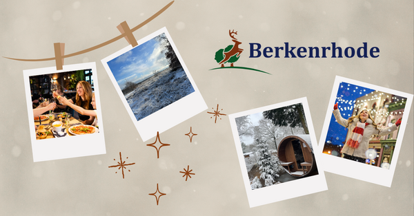 Berkenrhode