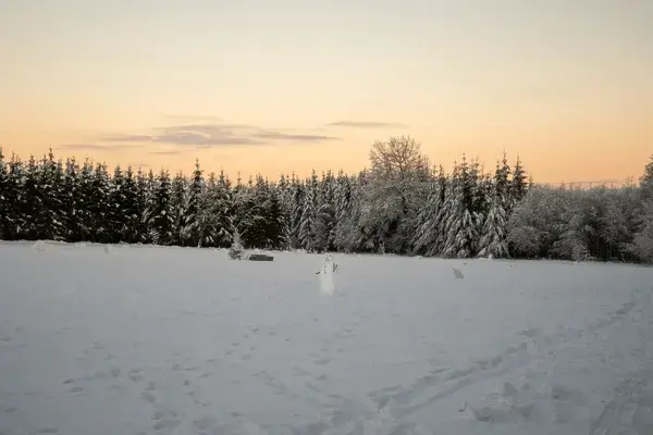 Kerst en Nieuwjaar