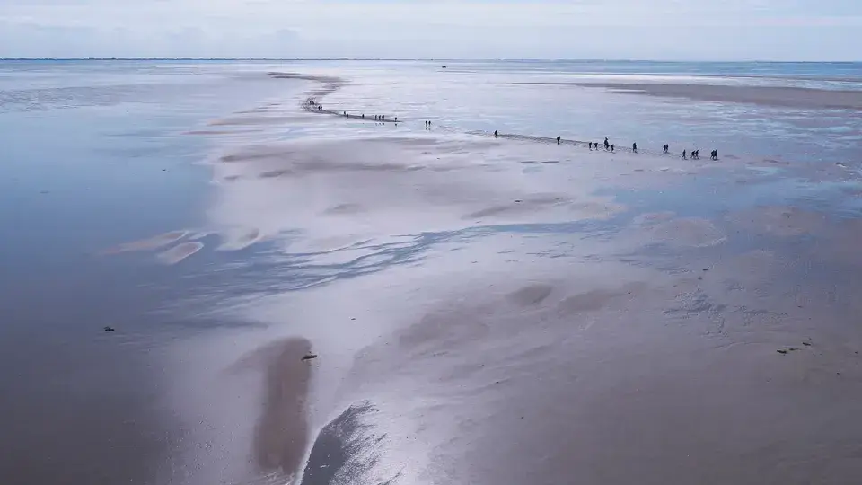 Wattwandern in Termunterzijl