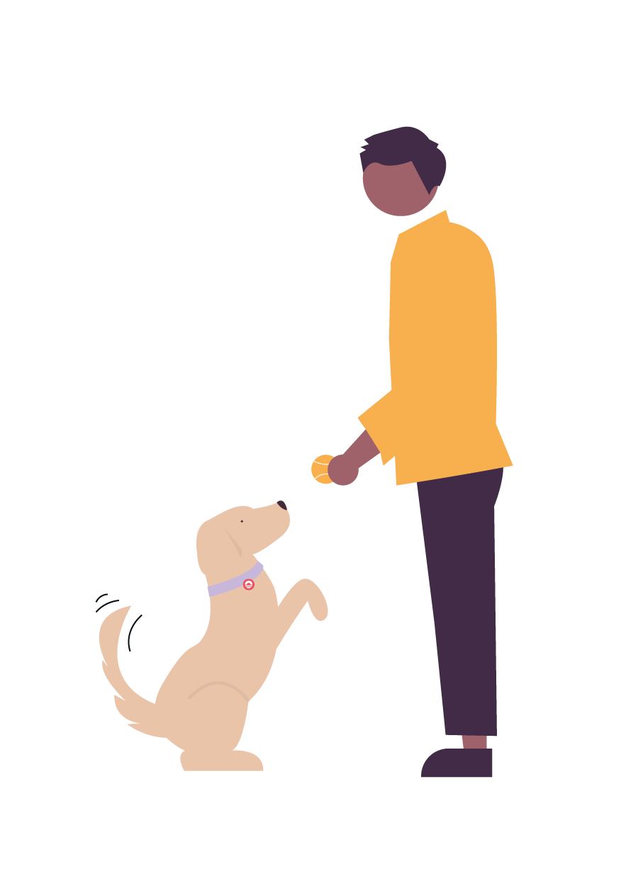 Deze afbeelding laat een illustratie van Welcome in zien met daarop een man die speelt met zijn hond en een balletje