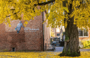 5 Beste Museen in der Region 