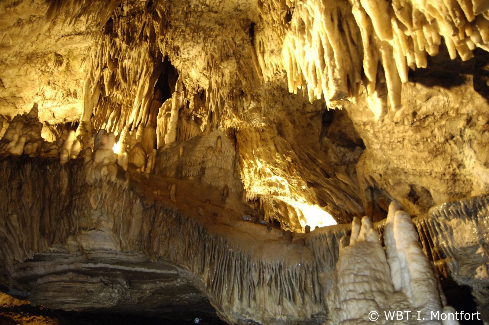 Tijdens je vakantie kun je de grotten van Han sur Lesse in de Ardennen bezoeken