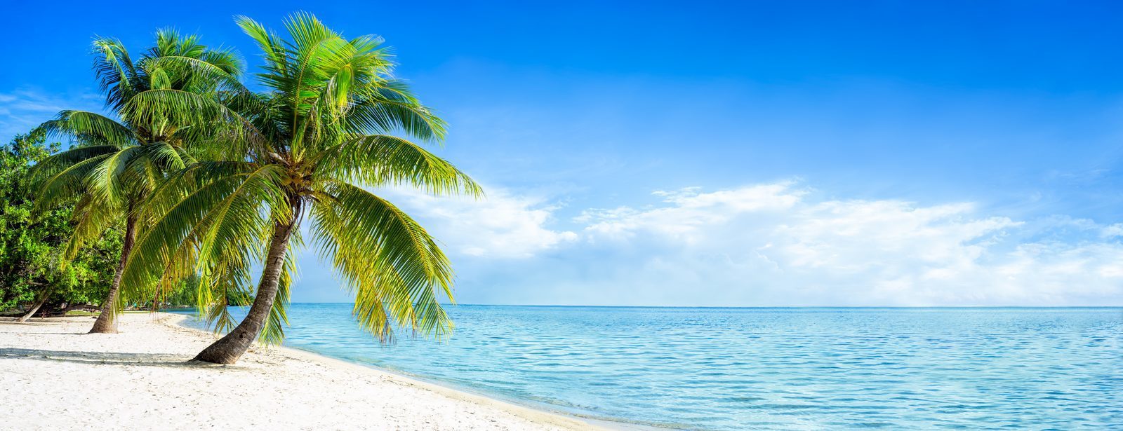 Vacances d'hiver au soleil - Resort Bonaire