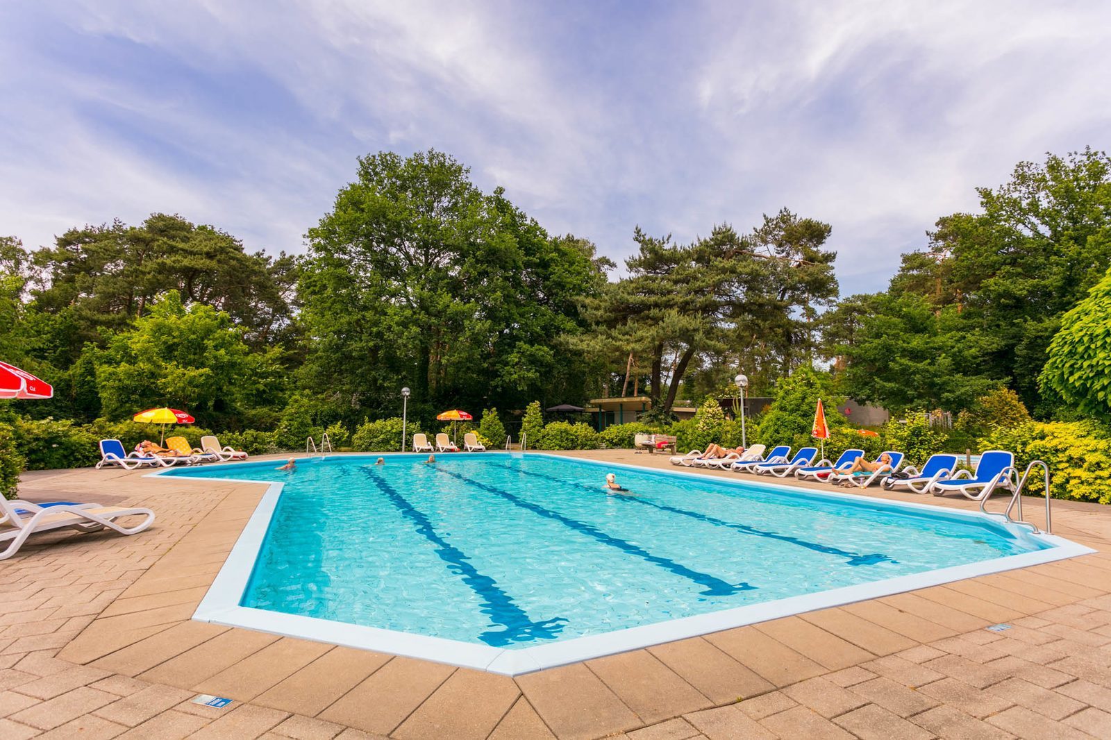 Holiday park with swimming pool
