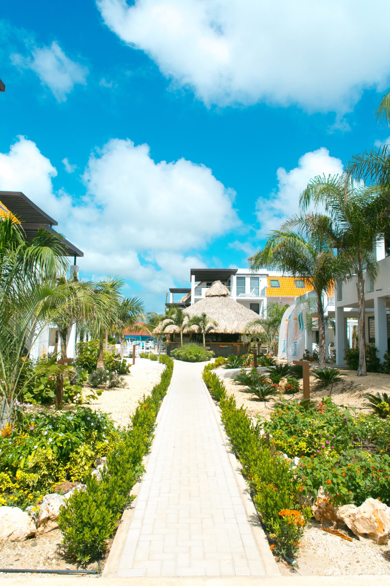 Ponte en contacto con Resort Bonaire
