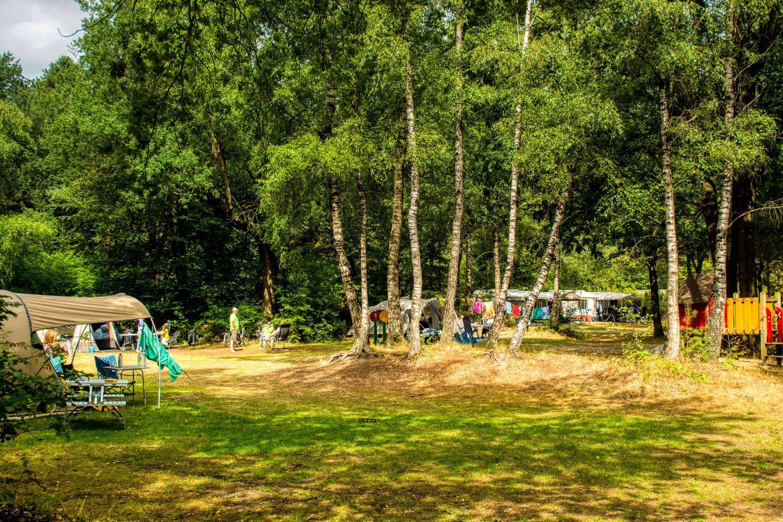 Nature Campsite Drenthe