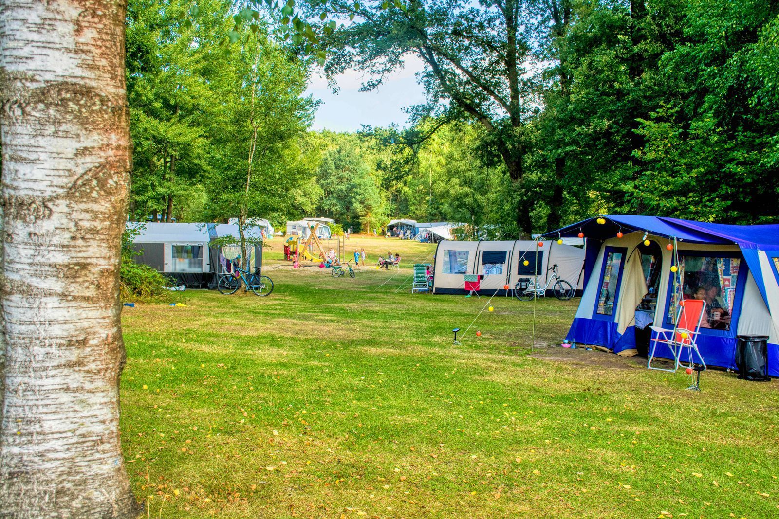 Camping field Landgoed De Berenkuil
