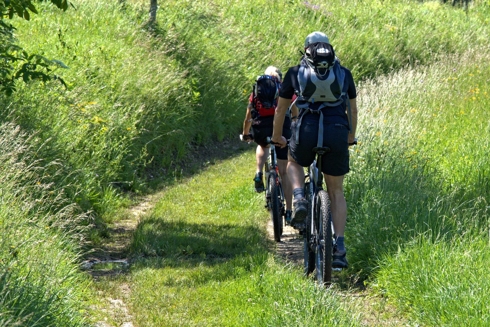 VTT / Parcours du combattant