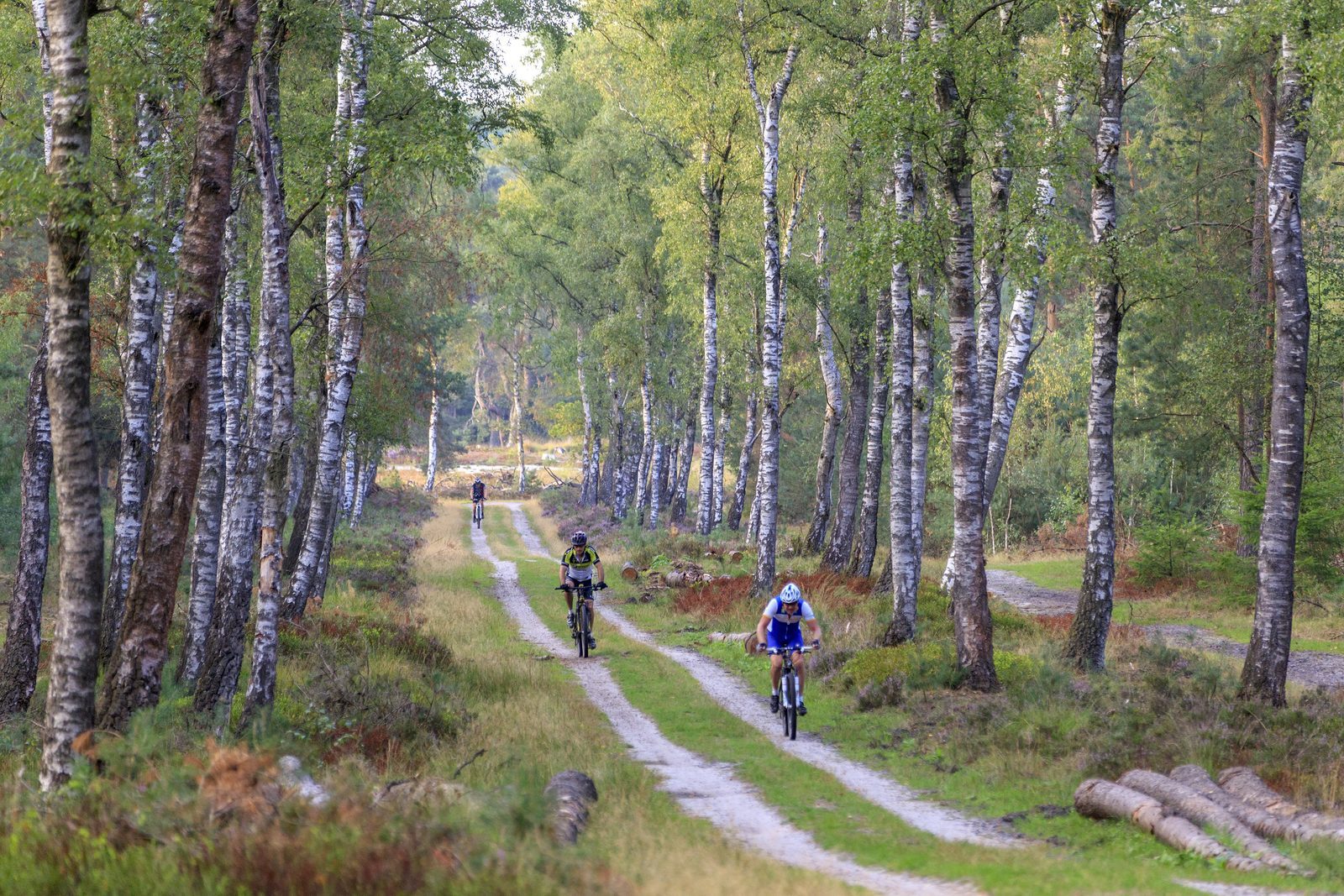 New all-terrain bike routes on the Veluwe