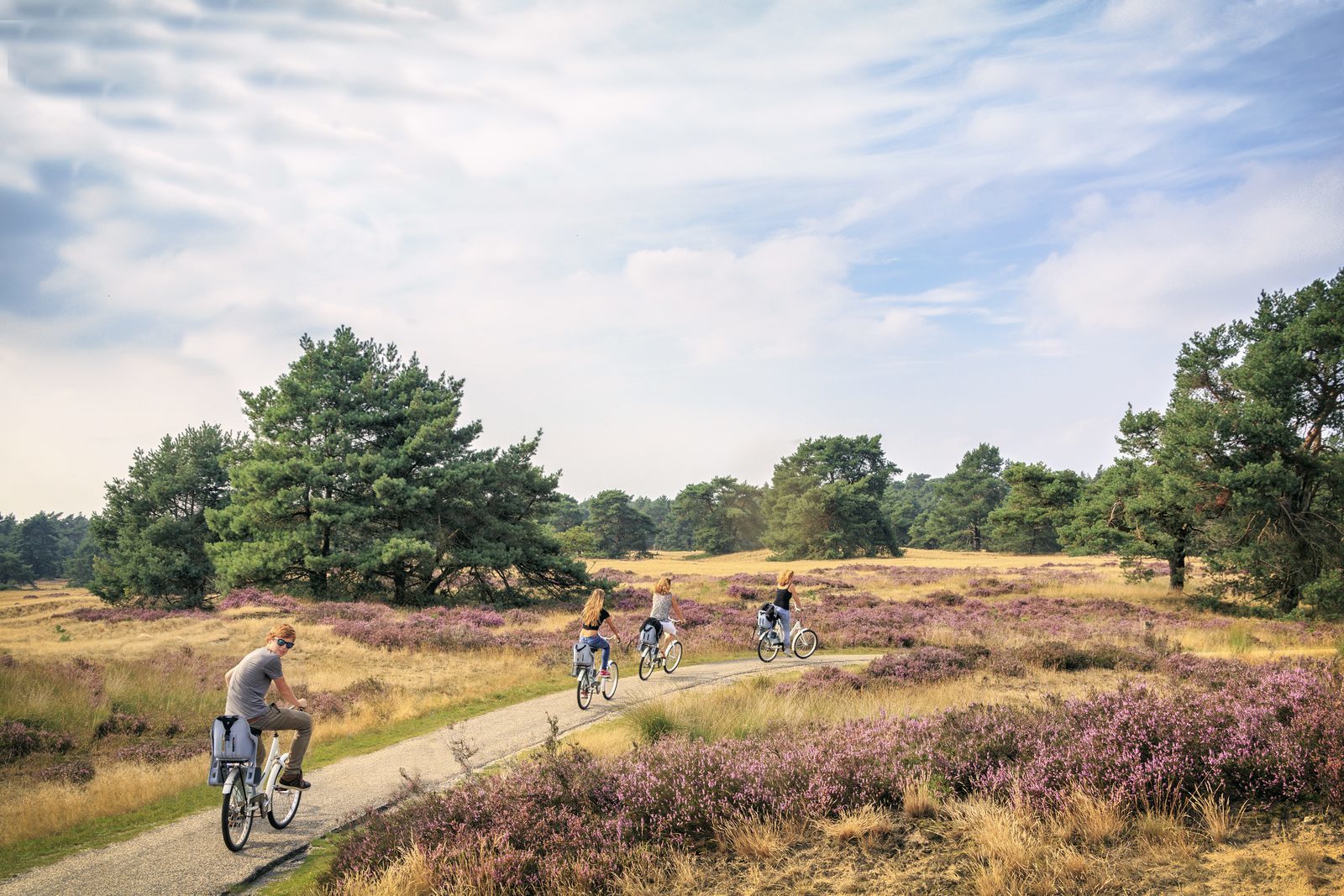 Discover our holiday parks at the Veluwe