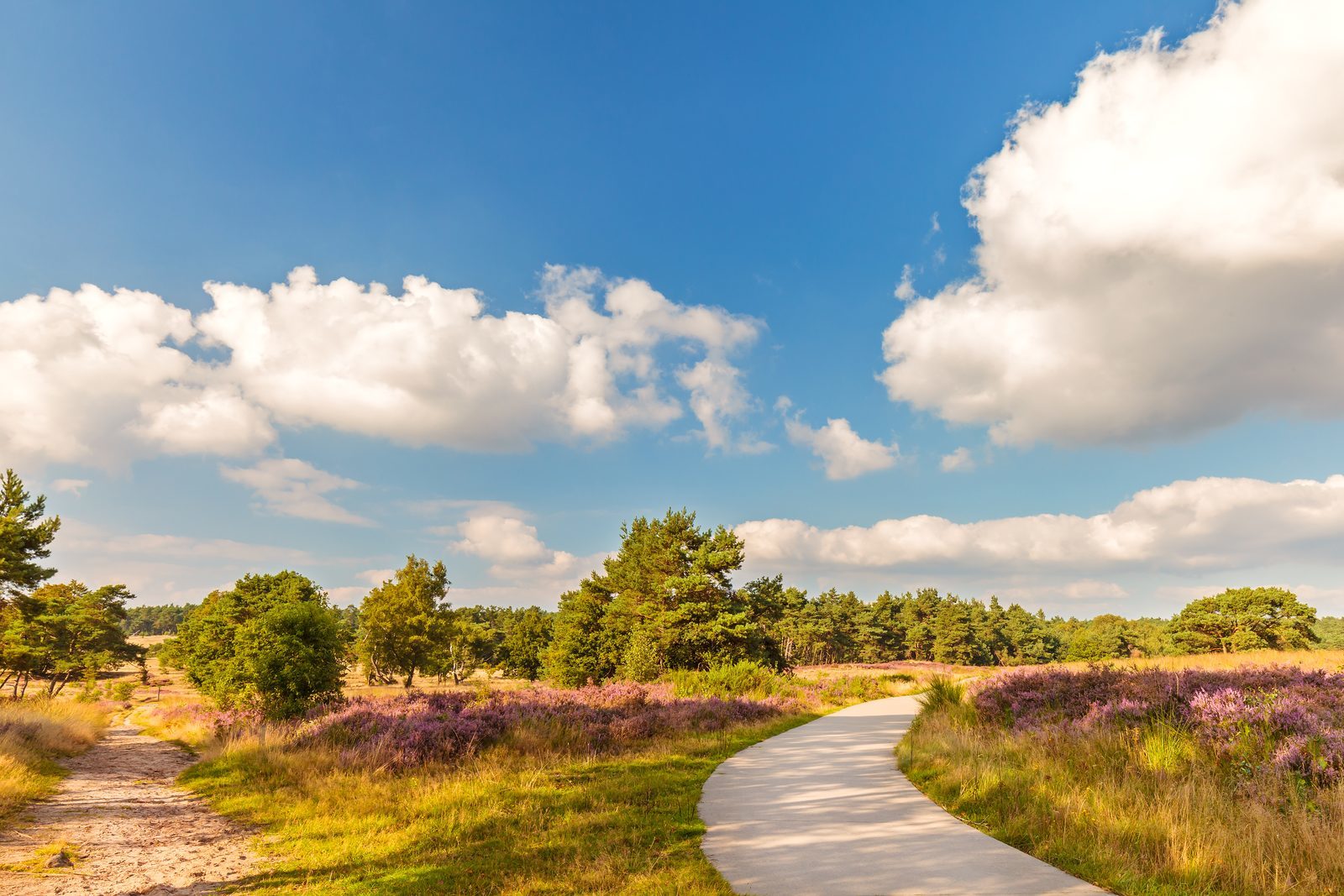 These are the 10 most beautiful walking tours on the Veluwe
