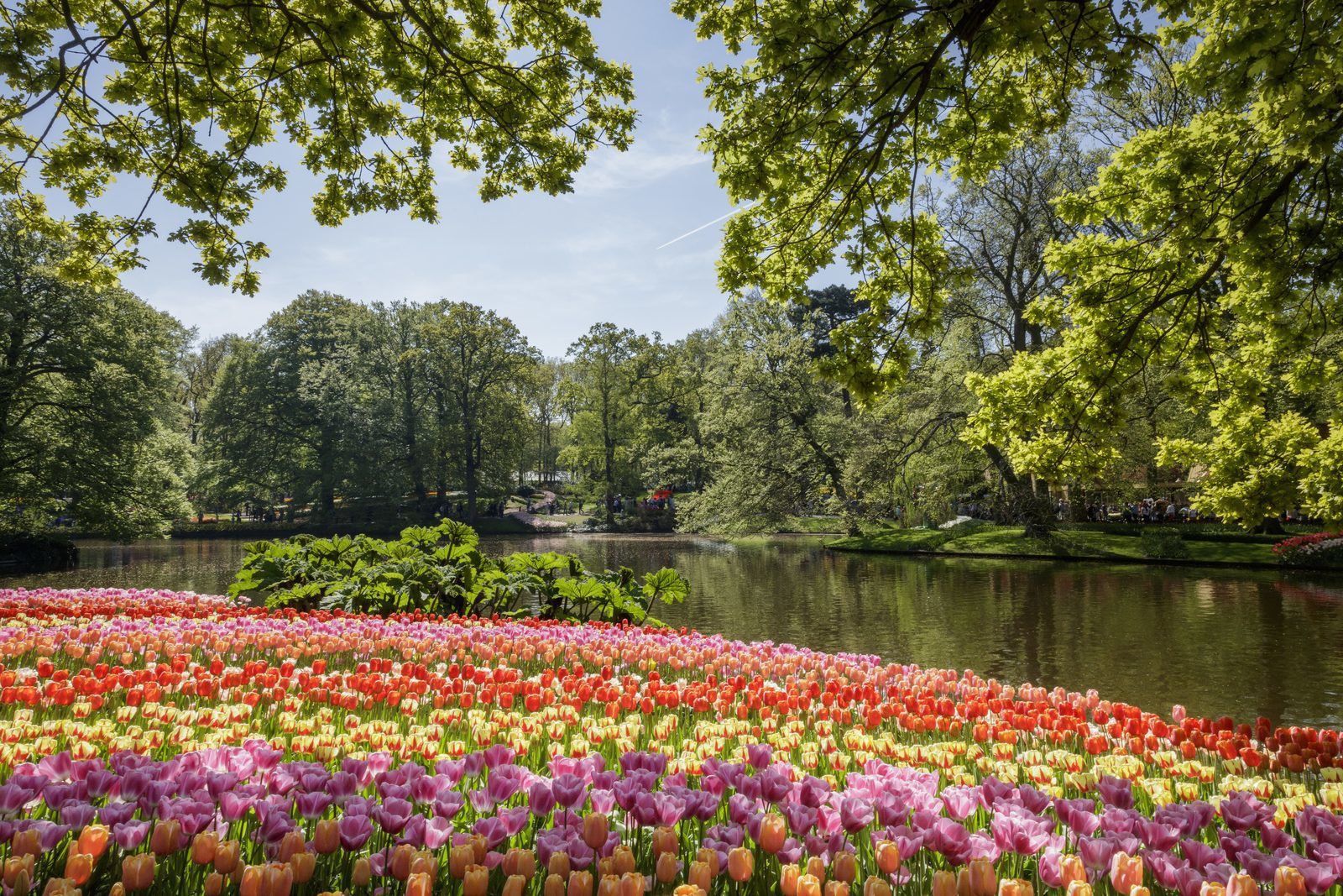 Vroegboekkorting voorjaarsvakantie