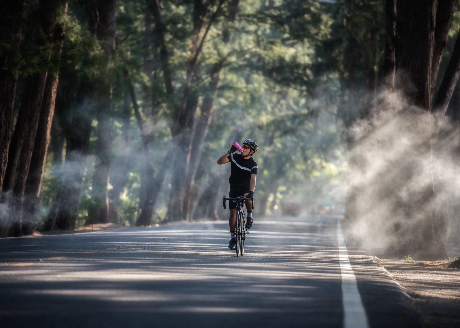 Cyclist on the Veluwe