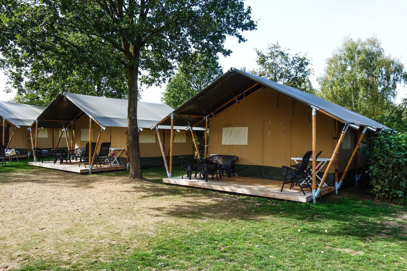 Safari tent in The Netherlands