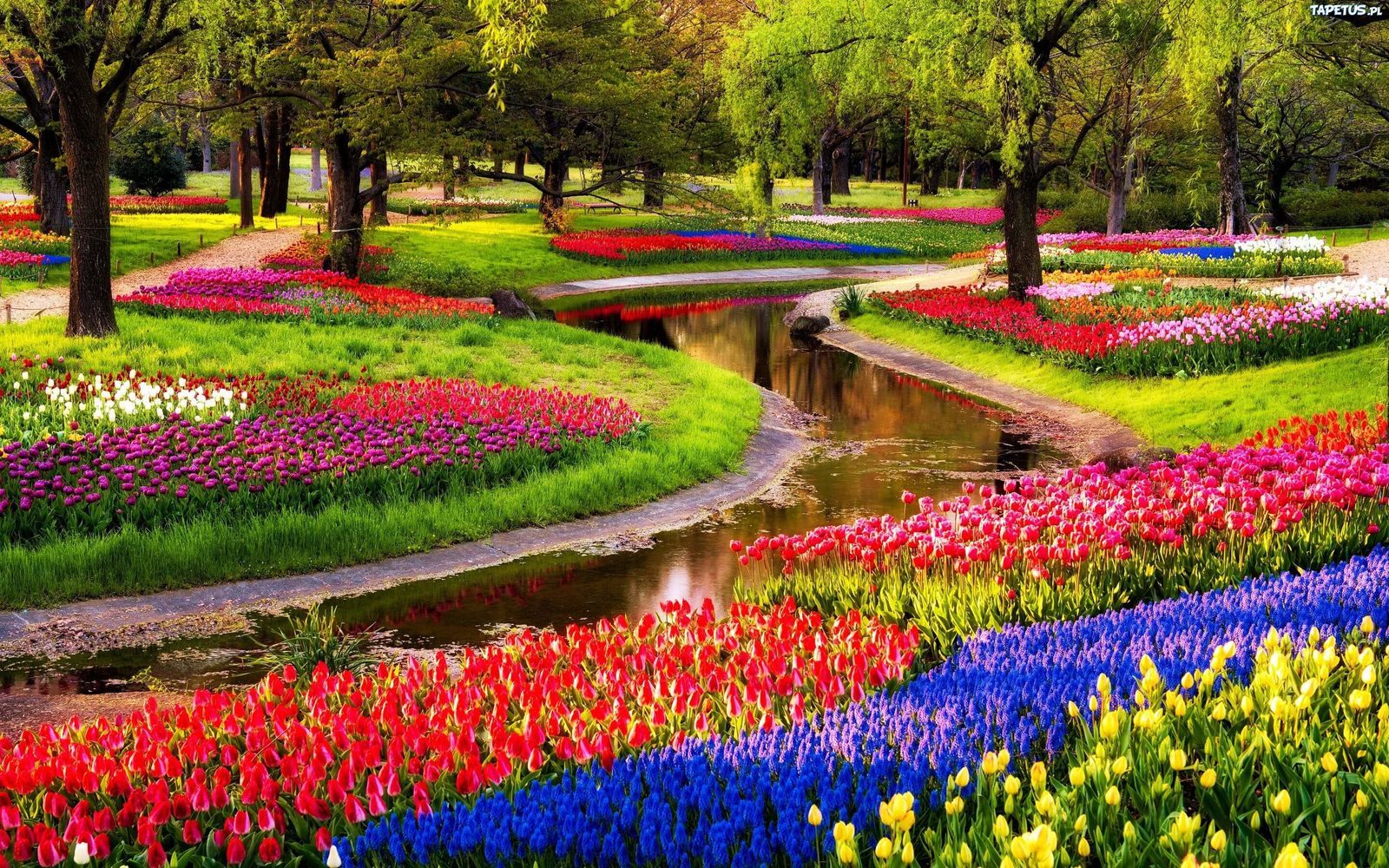 Garten Europas in Lisse, Niederlande