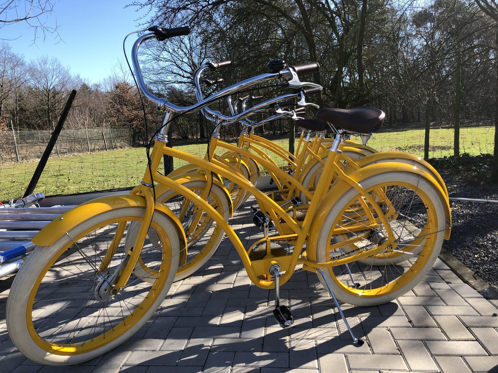Radfahren auf den Yellow bikes durch die Achterhoek 