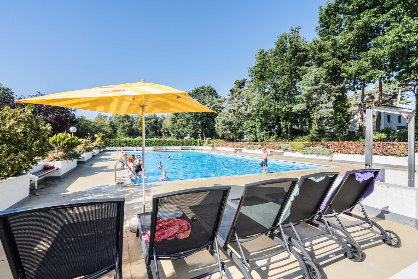 Holiday park Brabant with swimming pool