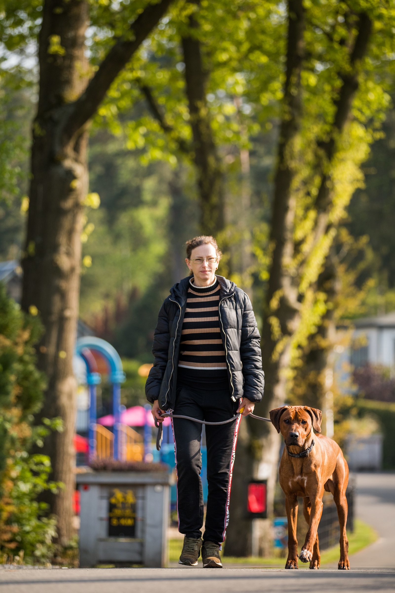 Dogs welcome at Holiday Park Beekbergen
