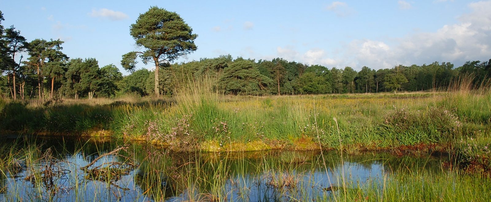 Provinz Gelderland