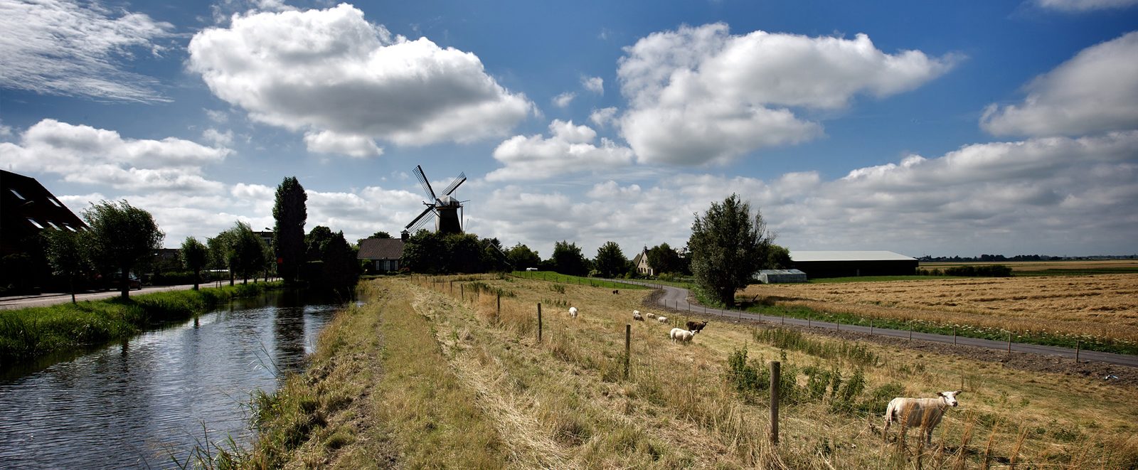 Provinz Zuid-Holland
