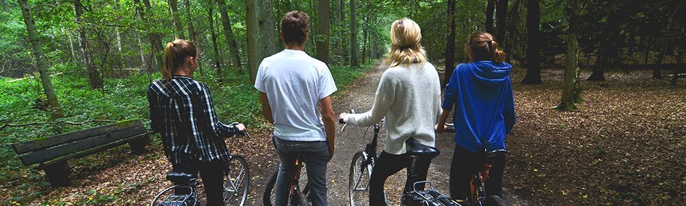 Discover Limburg by bike