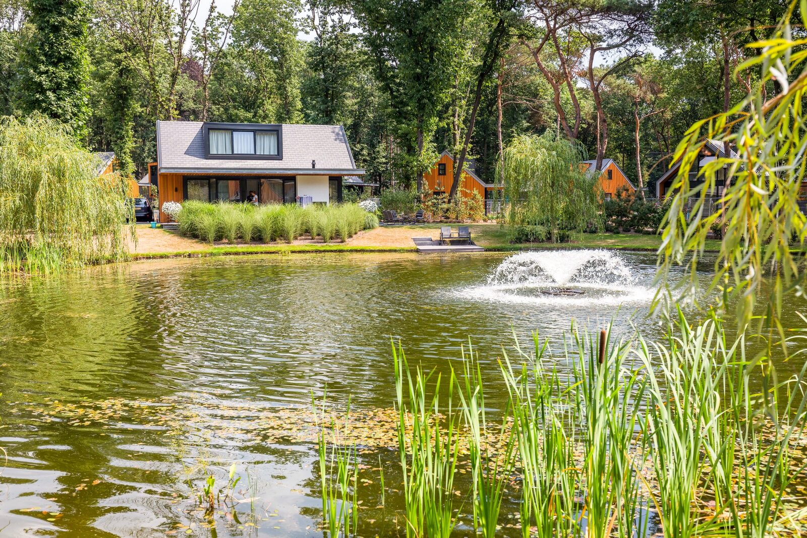 Naturhaus in den Niederlanden