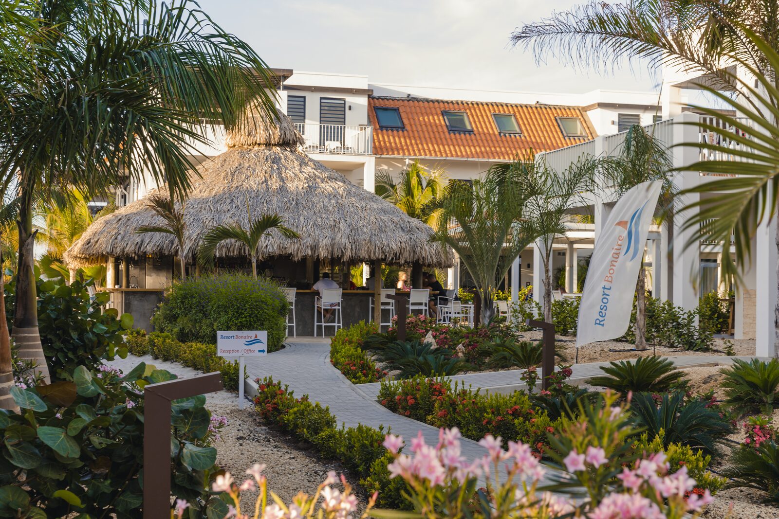 Vervoer op Bonaire? Maak gebruik van huurauto's, scooters en taxi's. Er is geen openbaar vervoer.