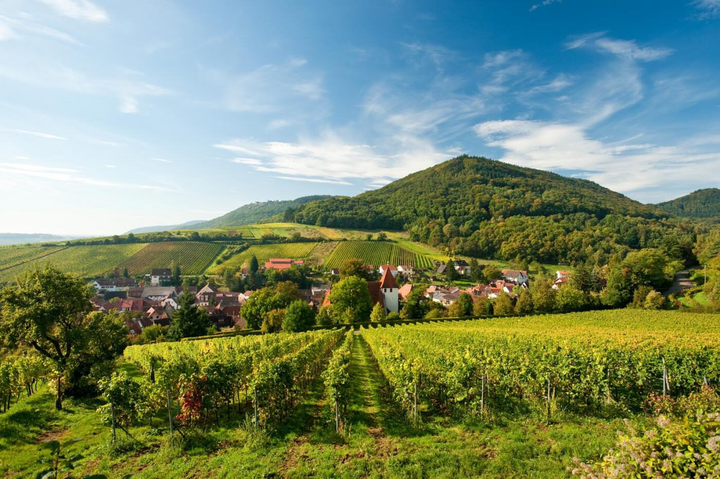 Discover the area of southern Germany