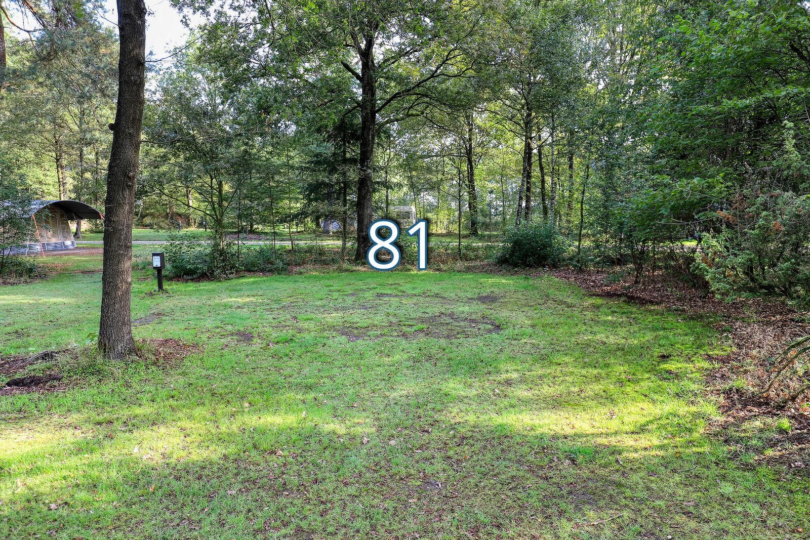 boshoek 81